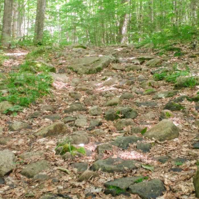 Near Whiteface Landing