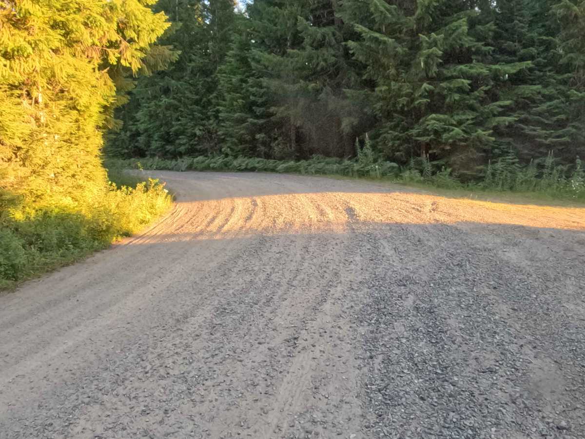 Lava Lake Road - FS 2067000  trail photo