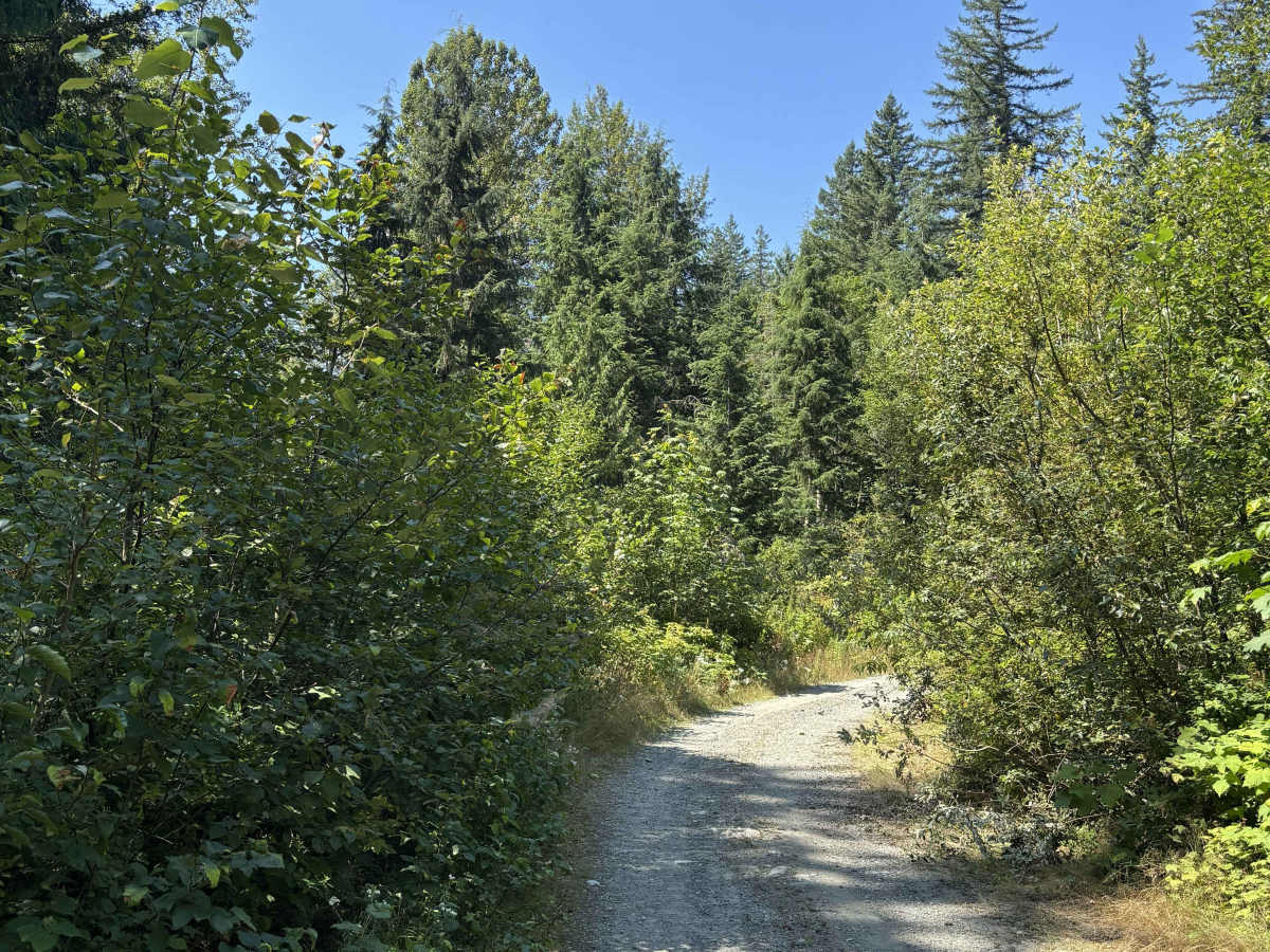 Ruby Forest Service Road photo 4