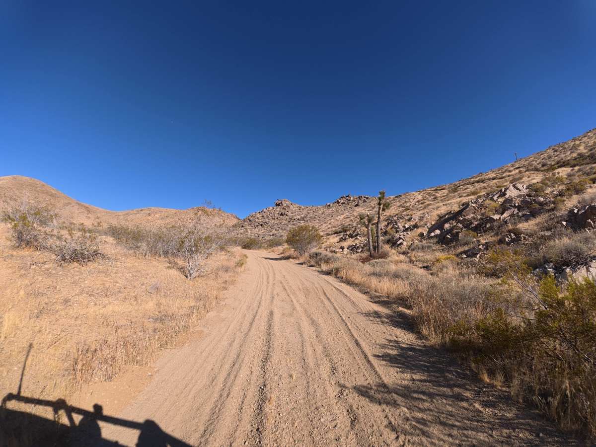 BLM SV2636 photo 3