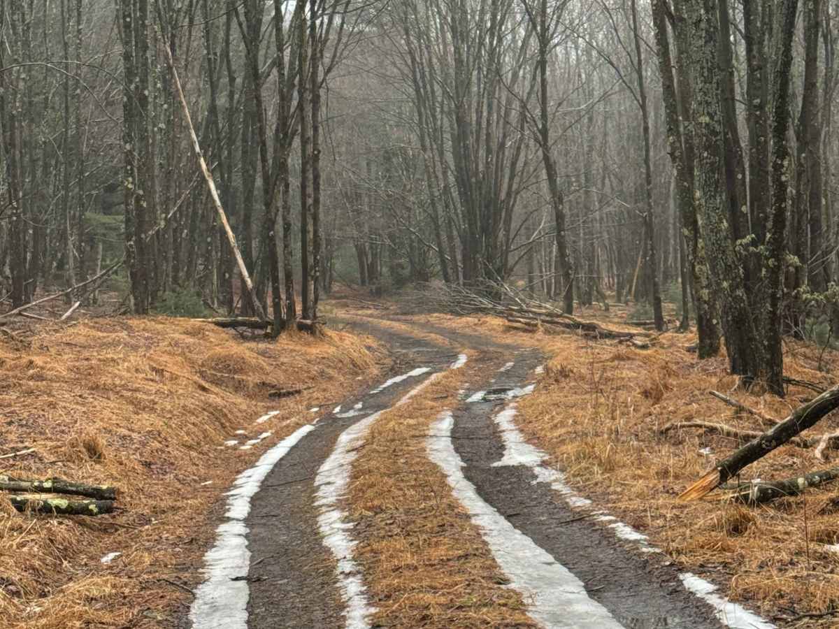 Clendennin Run Road photo 5