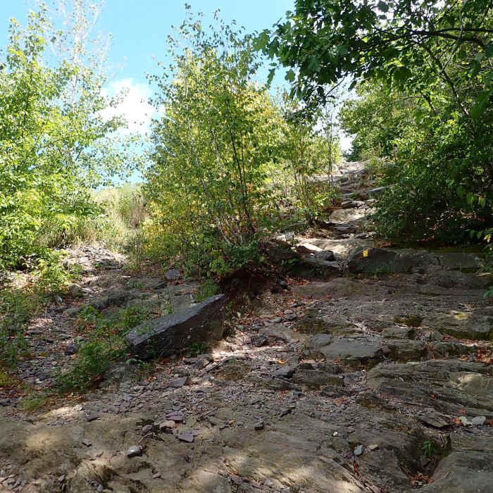 Near Terrace Pond West Loop Near Terrace Pond West Loop