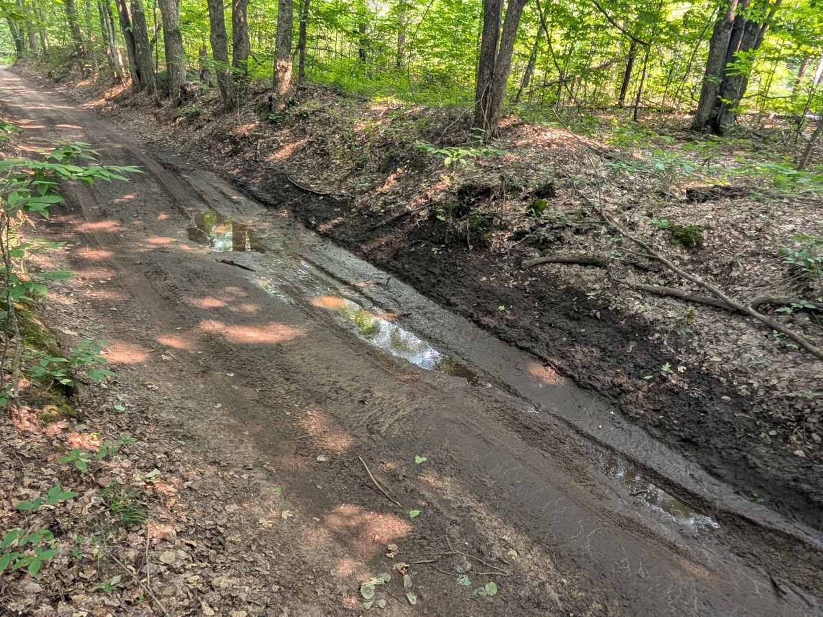 Walker Road trail photo