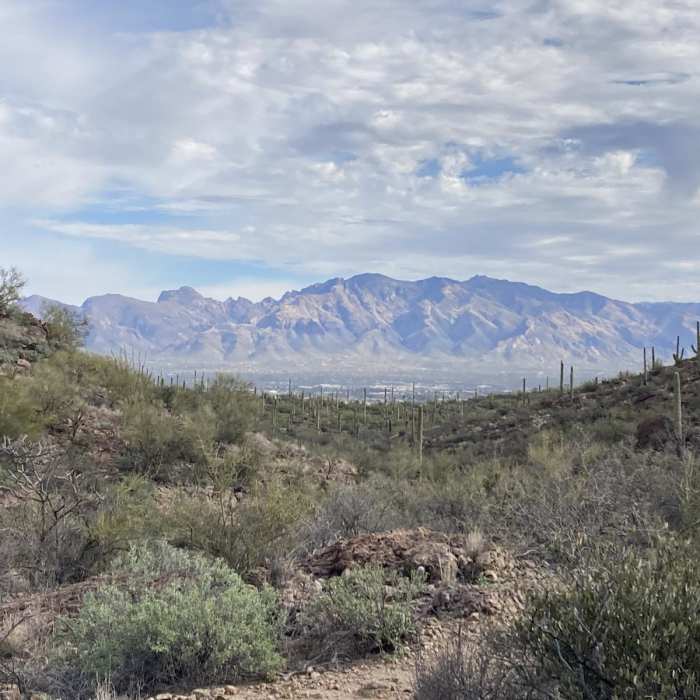 Near Mosaic Trail to Bactrian Summit