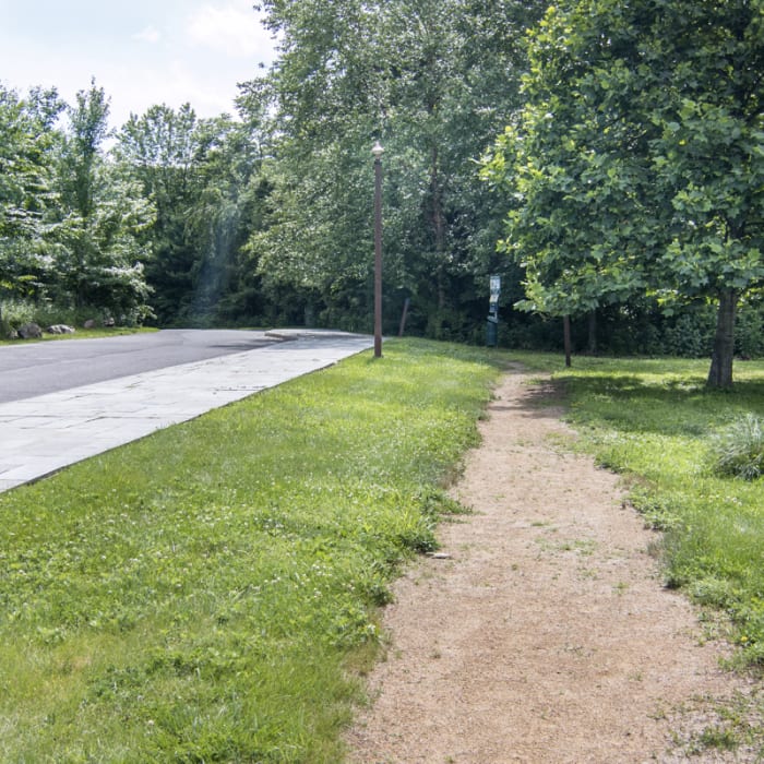 Near Lakeville Ironworks Trail