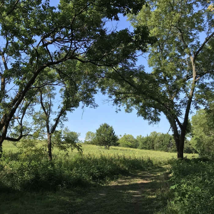 Near Prairie Center Main Trail