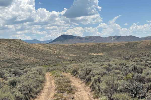 Kremmling Cretaceous Ammonite Locality Loop