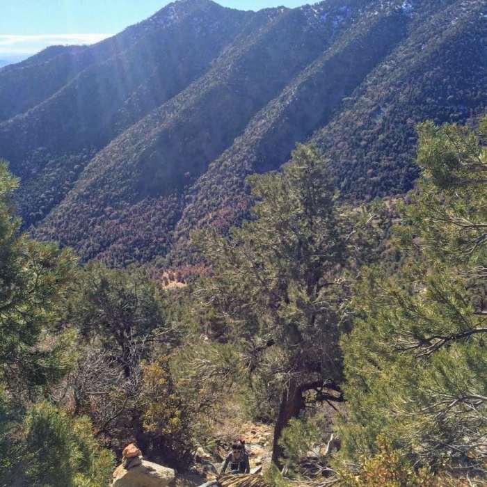 Near Owens Peak via Pacific Crest Trail