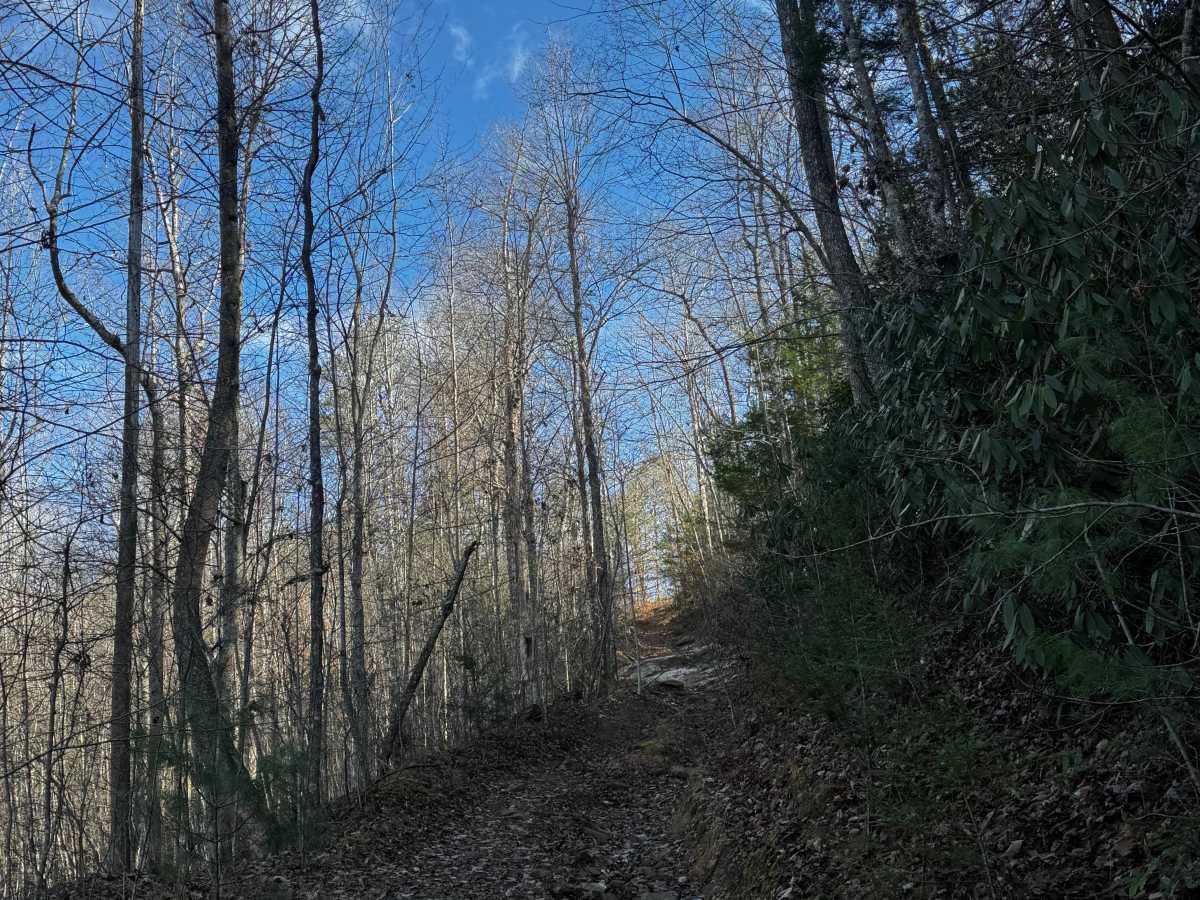 Boneyard Trail 2A Speedbump photo 2