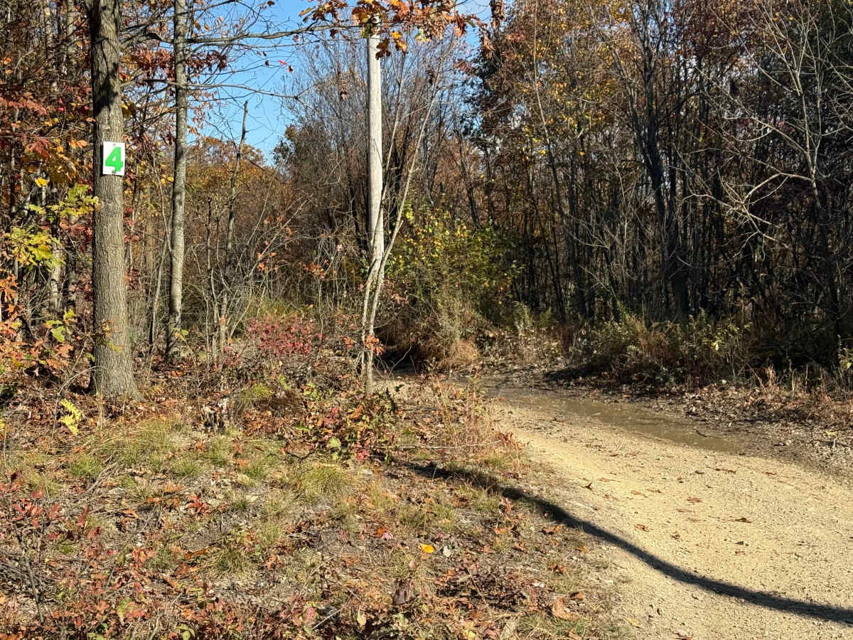 Trail 4 photo 2