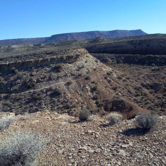 Near More Cowbell Loop