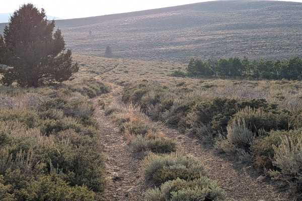 Dog Creek Loop