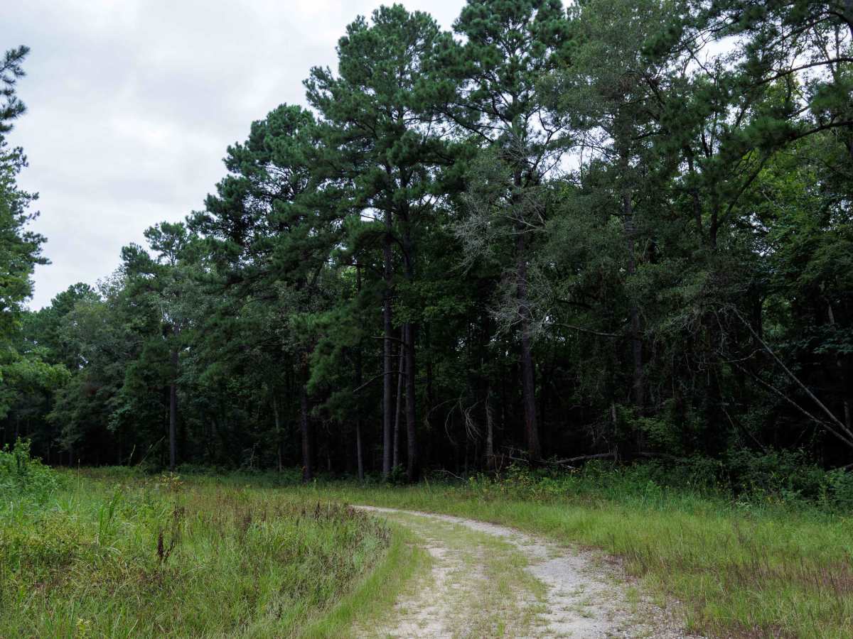 Clay Hill photo 4