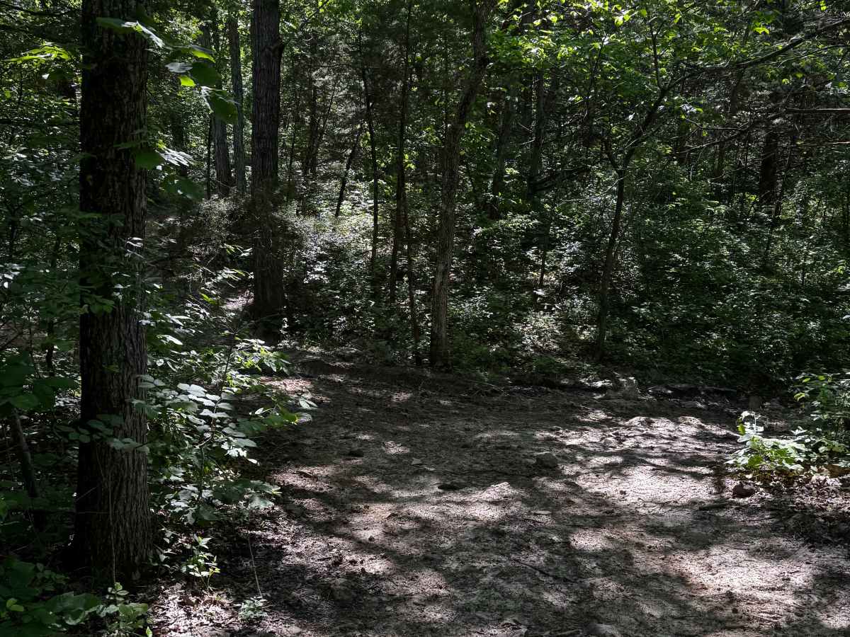Inner Cut Thru 6 photo 3