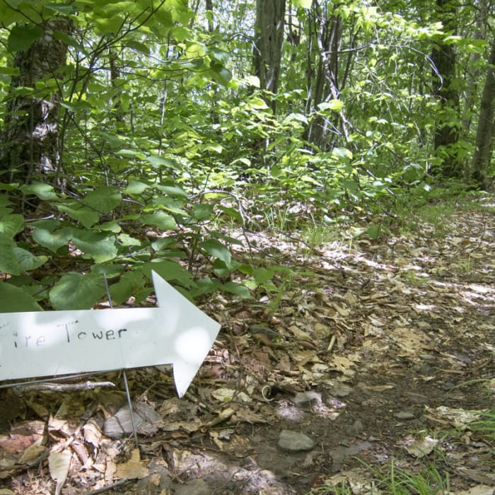 Near Colonelas Chair + Fire Tower