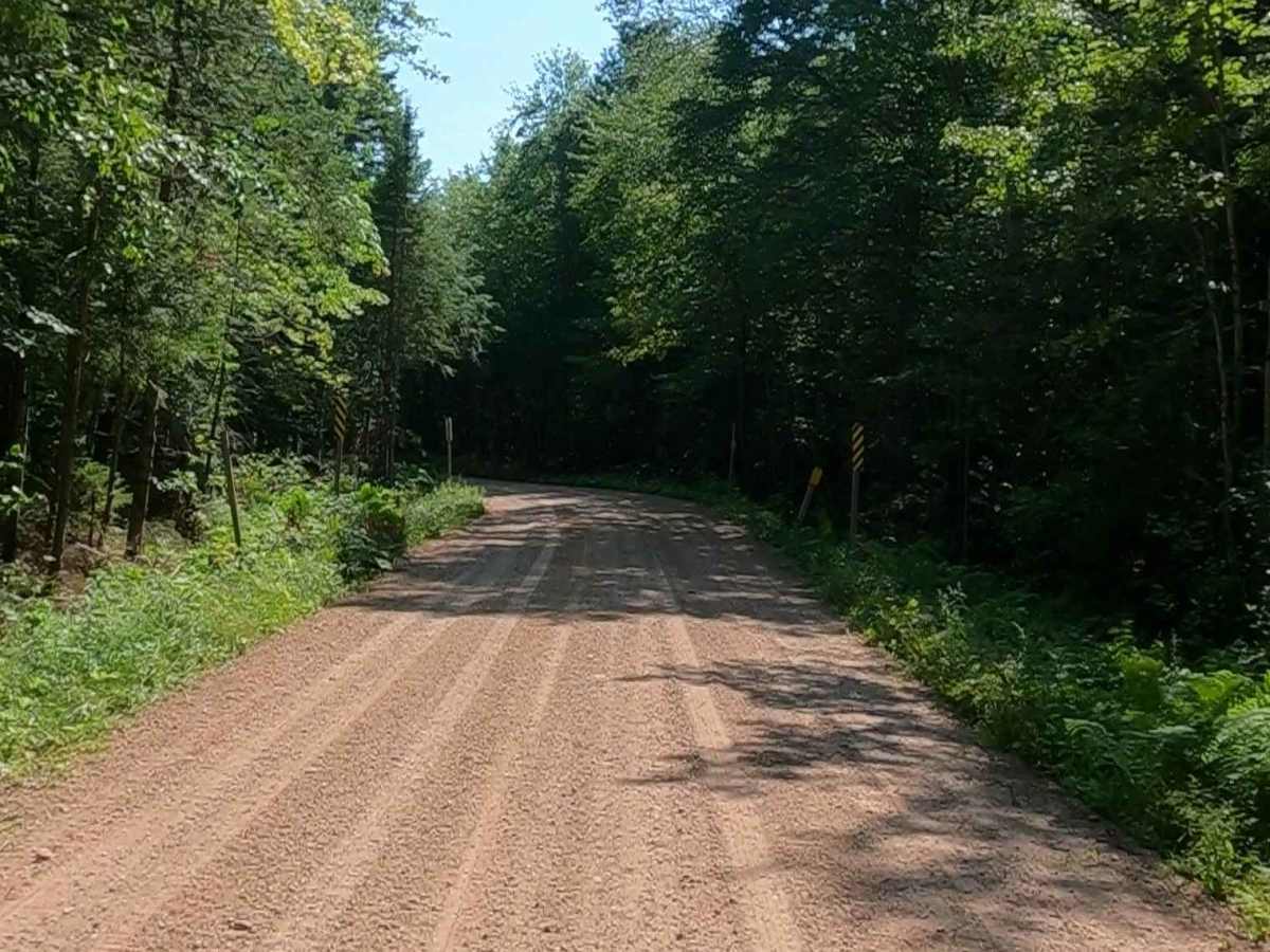 Buck Bay Road - FSR 2272 photo 3