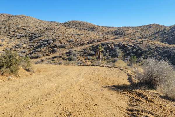 West Mtn Side Trail