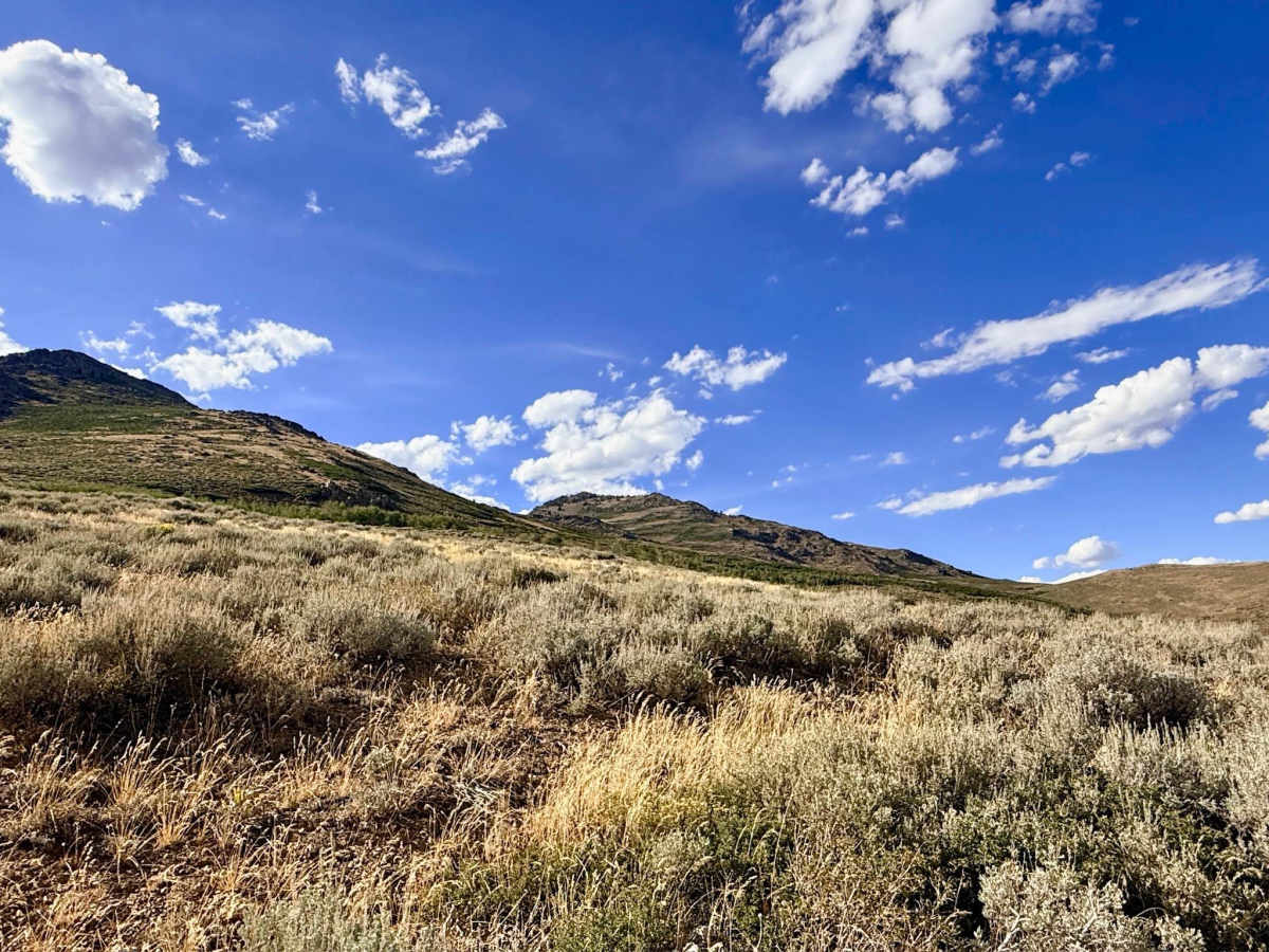 Winters Creek - FS 56135 photo 4