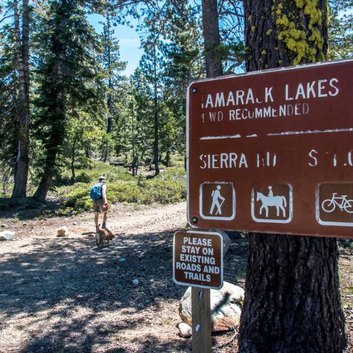 Near Tamrack Lakes Hike