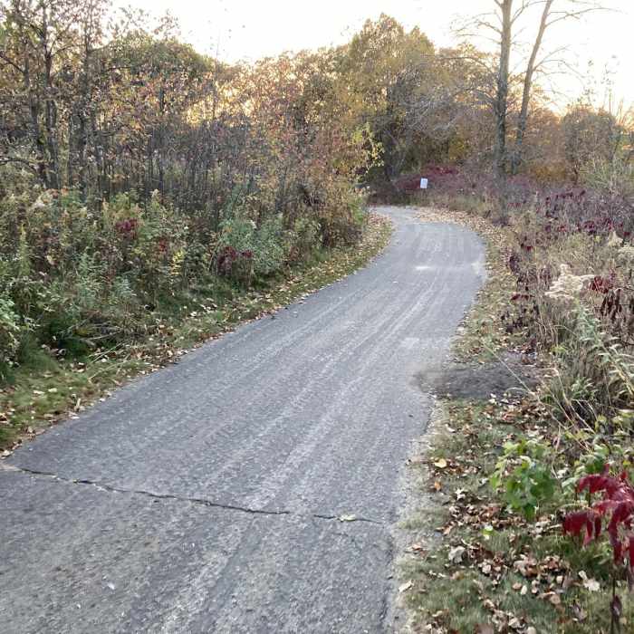 Near Chester Lake Trail Near Chester Lake Trail