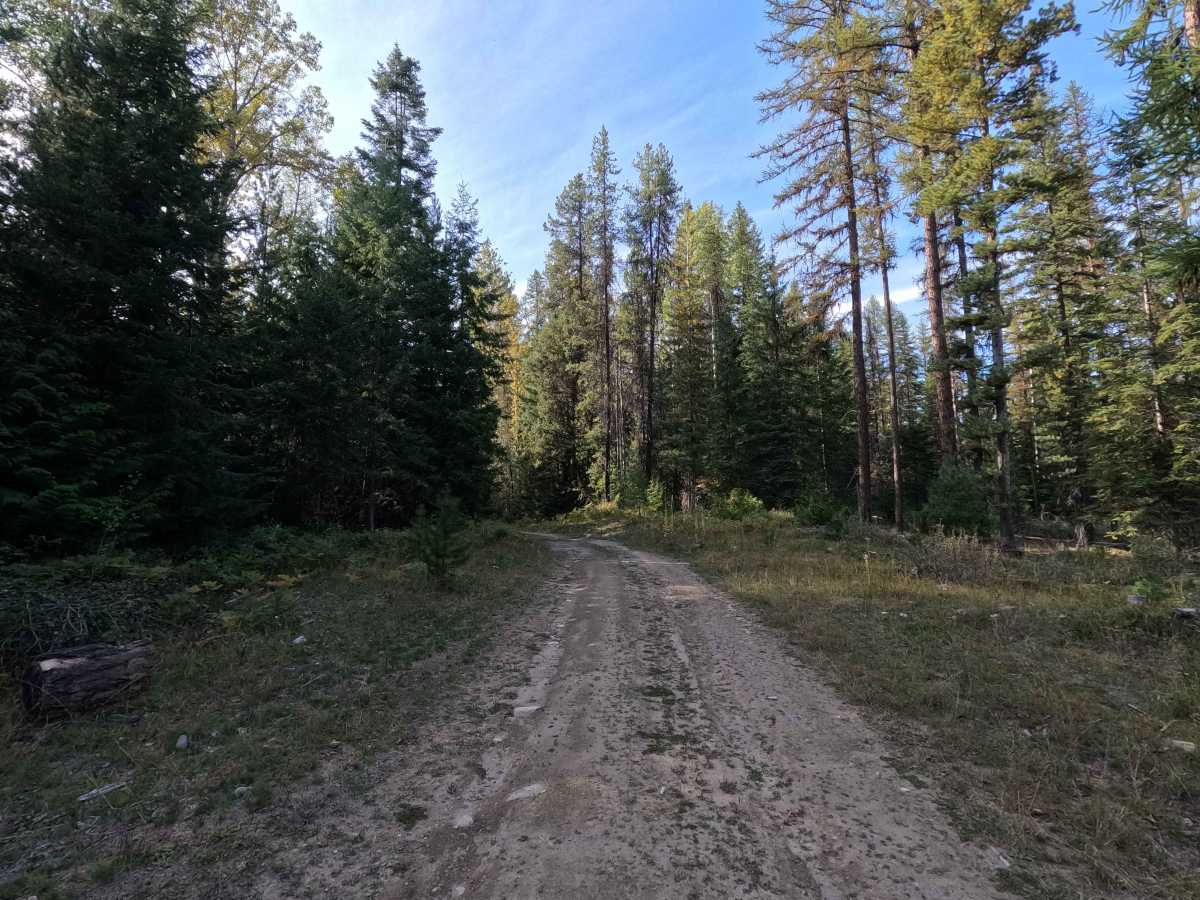 FS 3140480 photo 4
