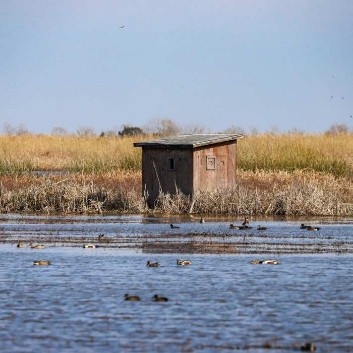 Near Cameron Prairie Pintail Nature Drive + Boardwalk Trail Near Cameron Prairie Pintail Nature Drive + Boardwalk Trail