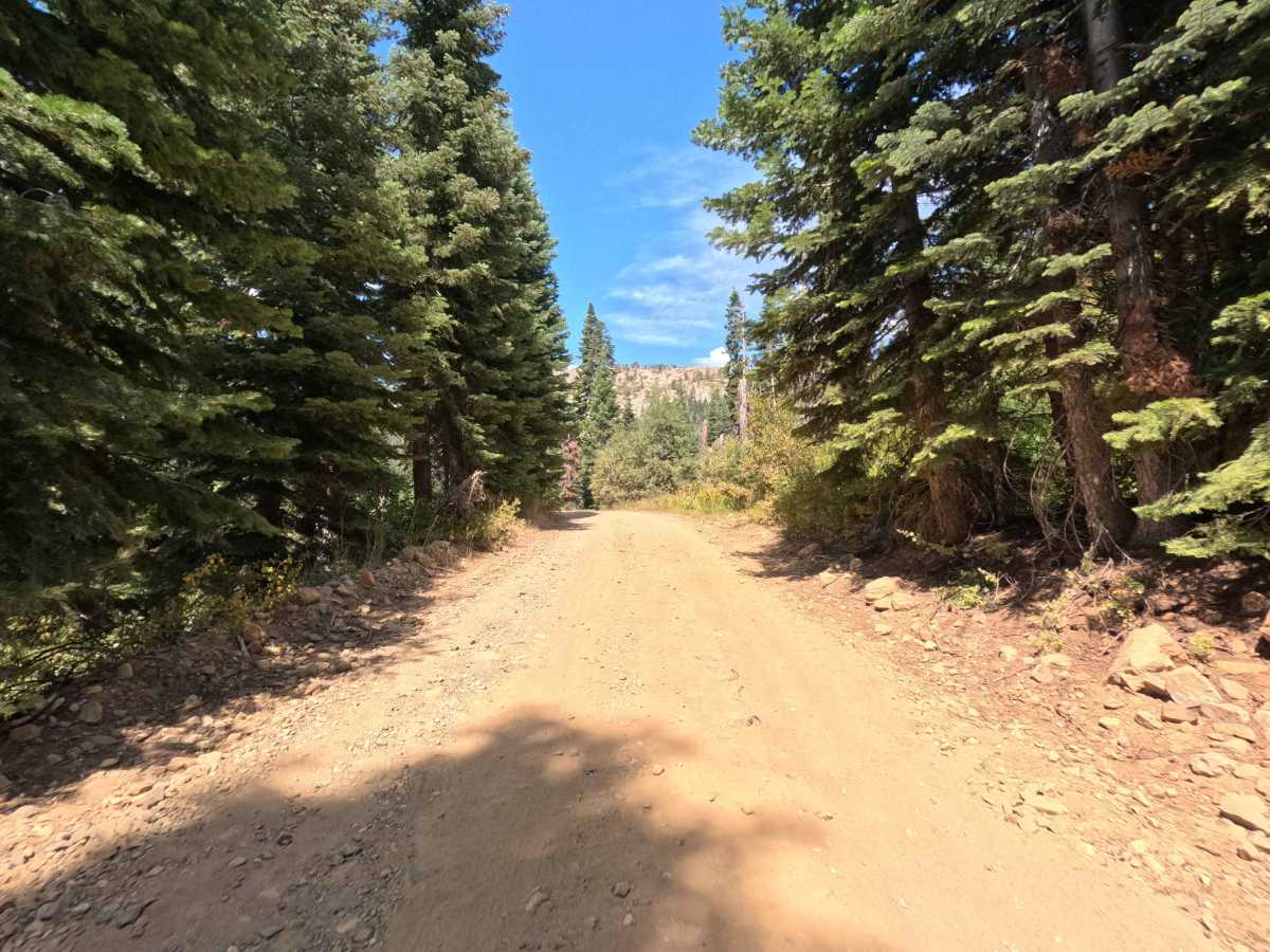 Big Creek Fire Road - North - FS 5S048 photo 3