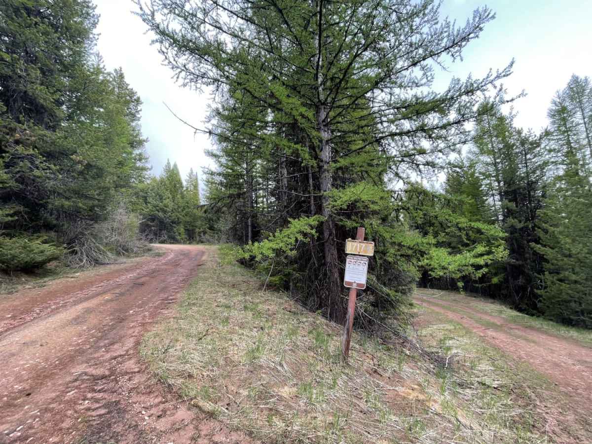 Secondary Road A trail photo