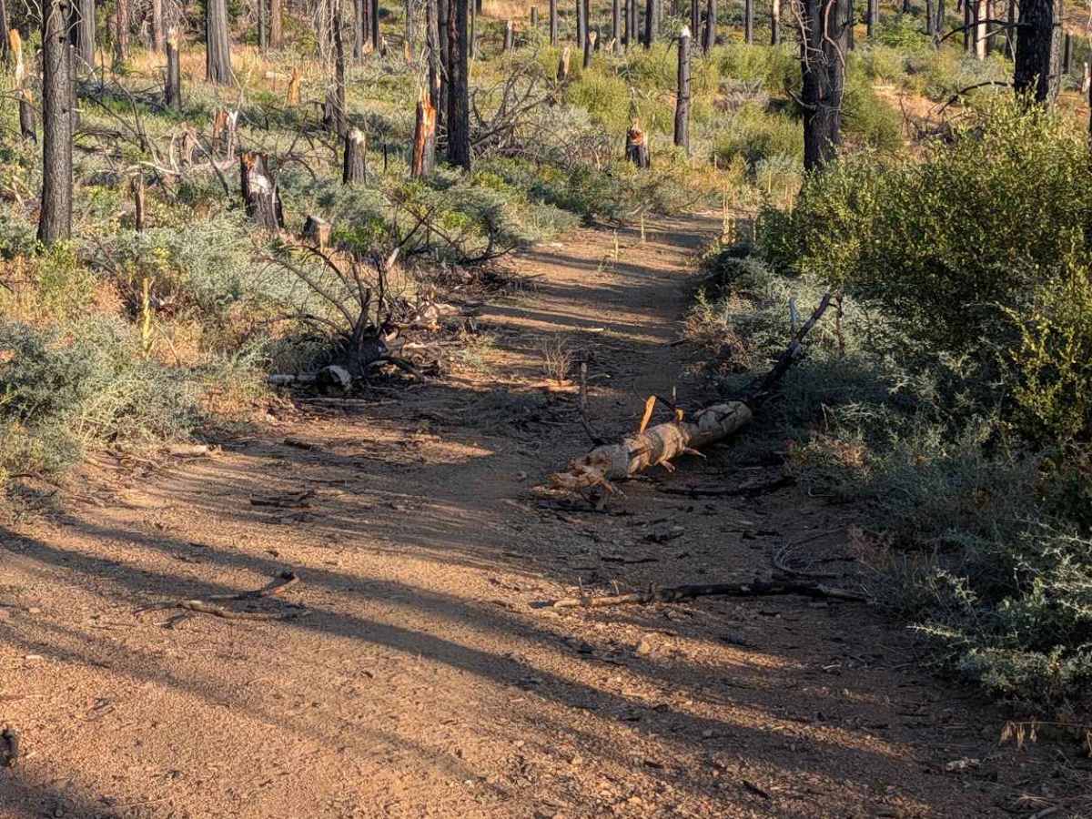 Red Mountain Motorway - FS 29N73  photo 5