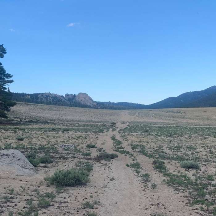 Near Chicken Spring Lake Loop