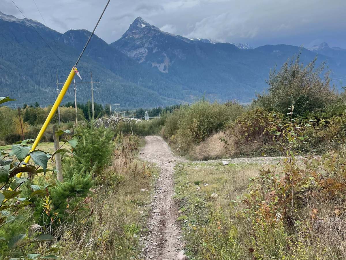 Fence Line photo 5