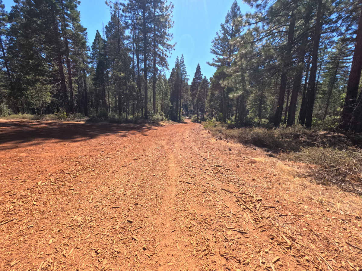 Indian - FS 19N03 photo 6