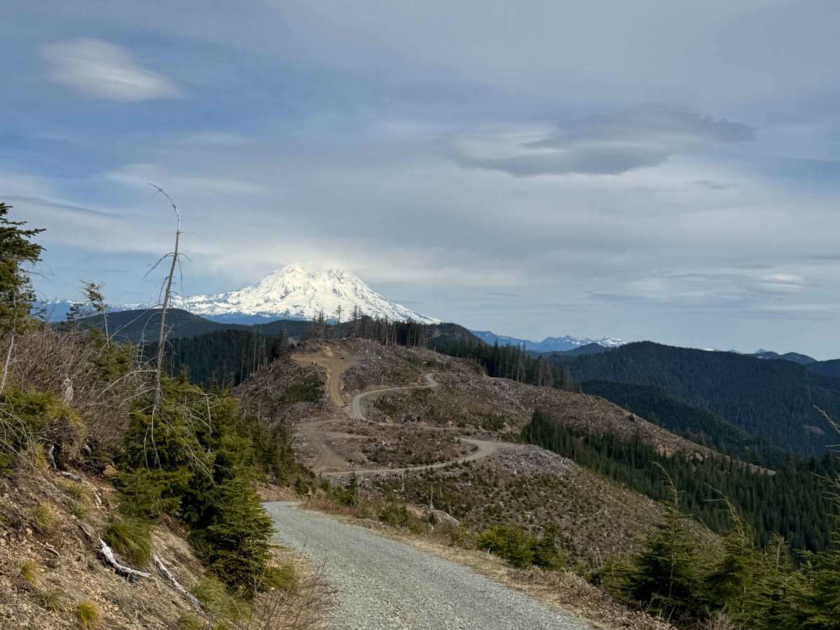 Newaukum Road - FS 7100 photo 3