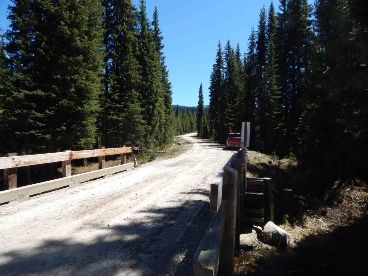 Elk Meadows - Packers Meadows photo 6