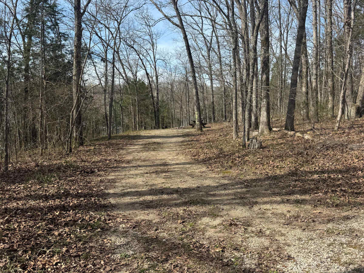 Lake Of Egypt Campground Drive - FS 871A photo 6