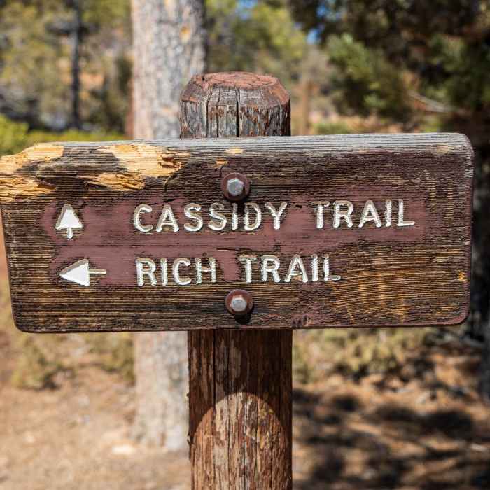 Near Cassidy + Rich Loop