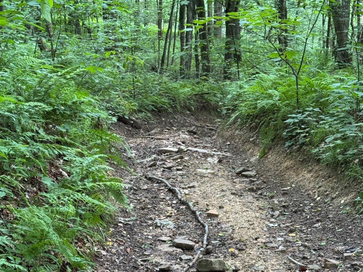 Trail 26 photo 3