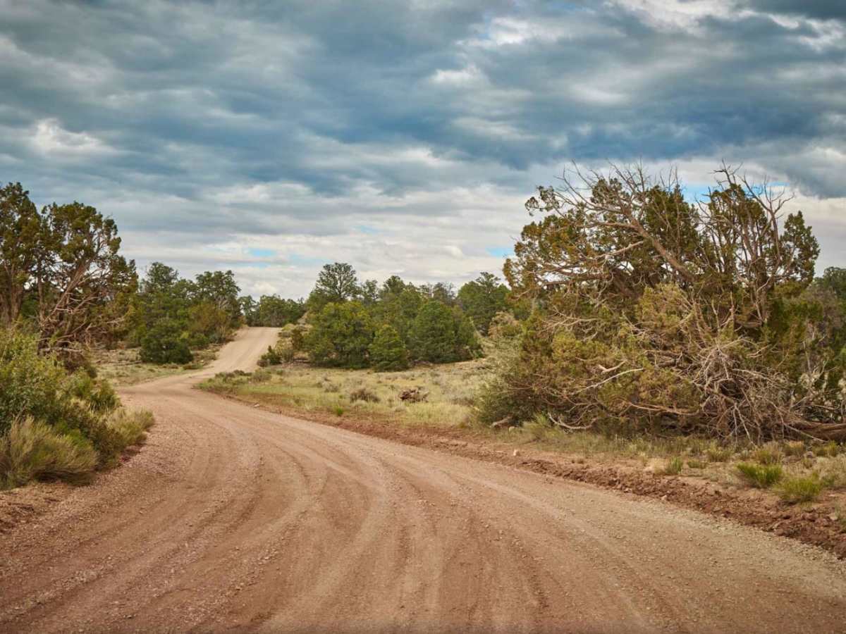 FR 318 trail photo