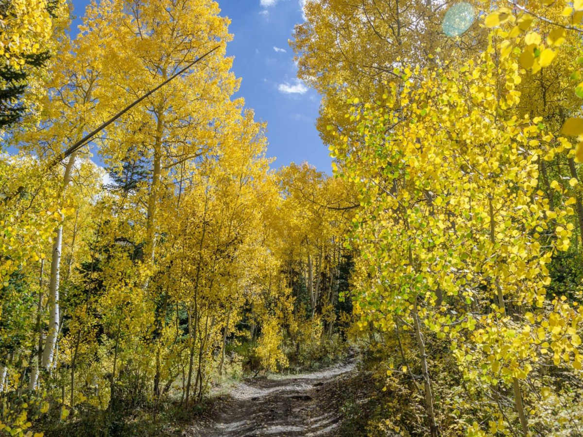 Arapeen Manti Canyon and Milky Falls photo 2