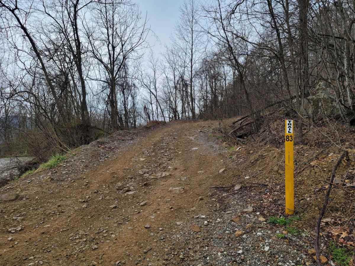 83 - American Knob Bypass photo 2