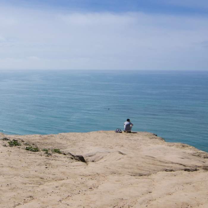 Near Scripps Coastal Reserve