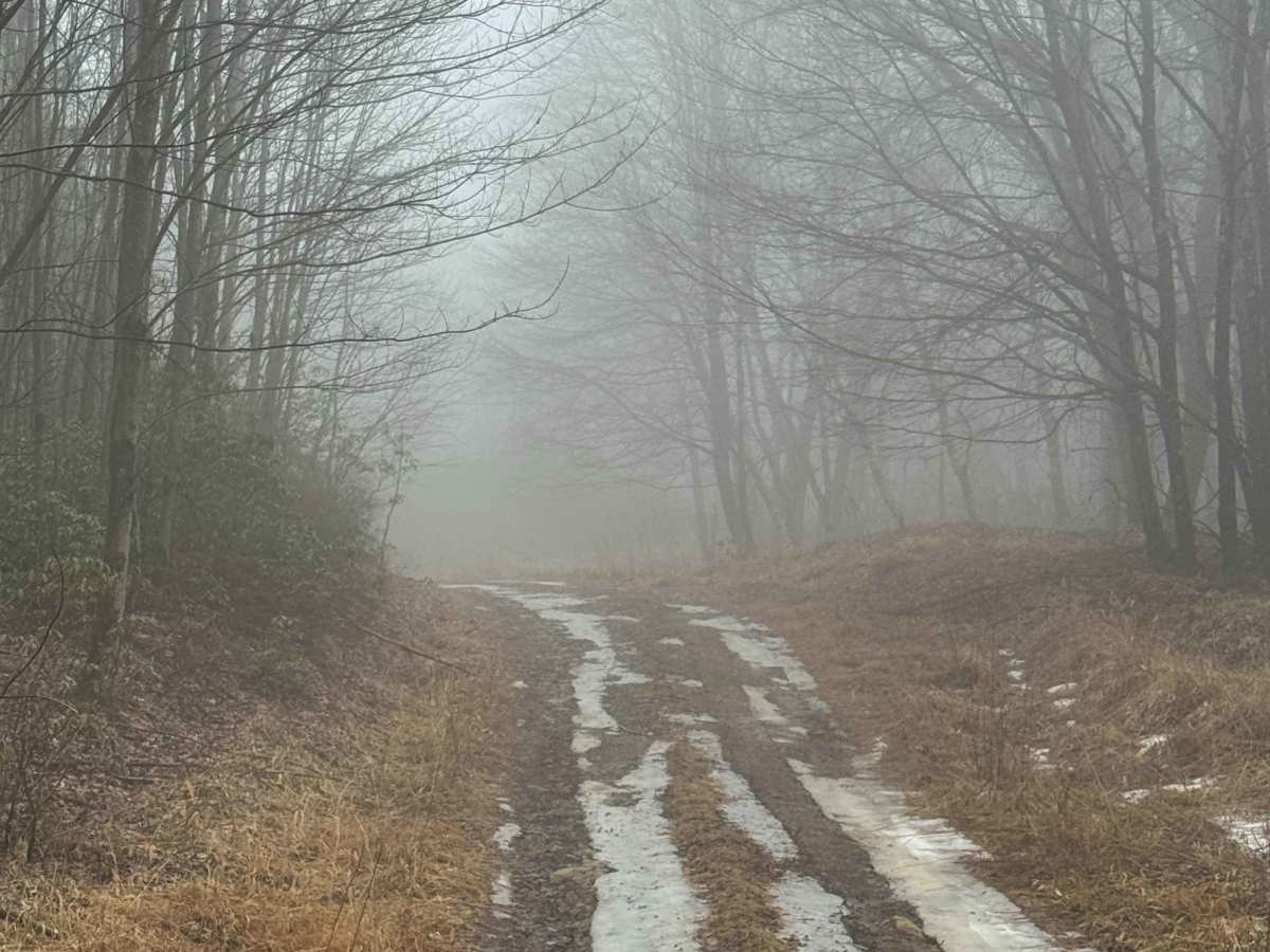 Benjamin Run Road photo 5