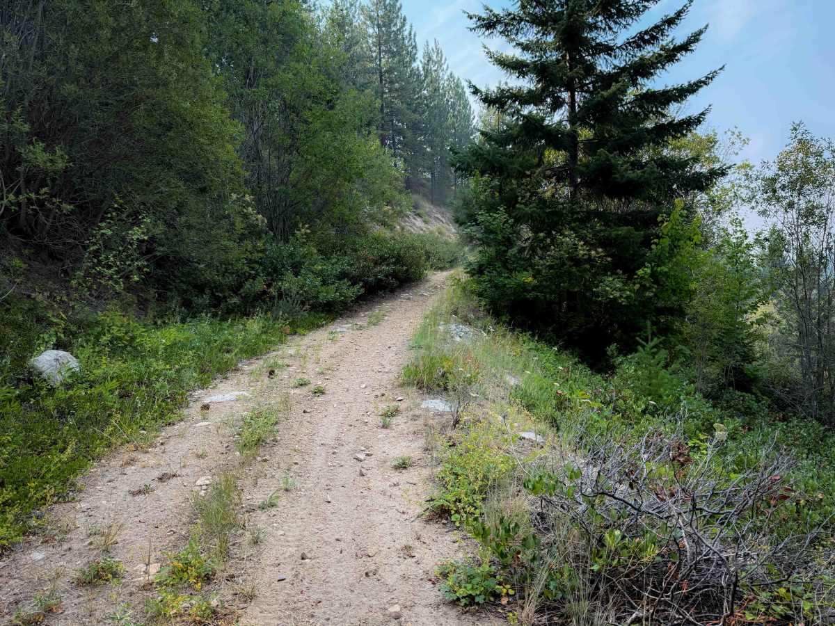 Mitchell Creek FS 8215 photo 3
