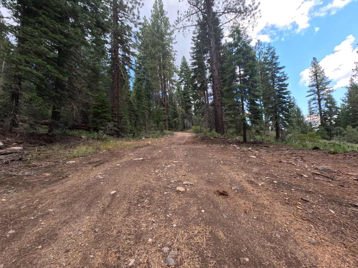 Deep Creek - FS 89-015 trail photo