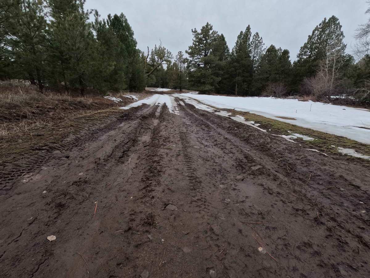 Little Caribou Road photo 2