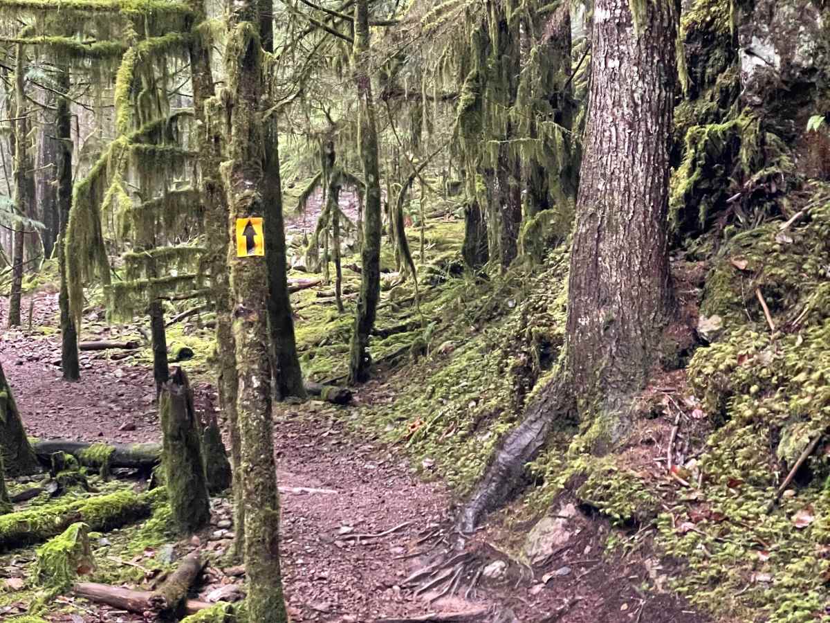 Ring Creek Ridge photo 5