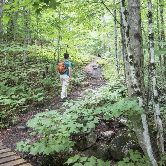 Near Owl's Head Fire Tower Near Owl's Head Fire Tower