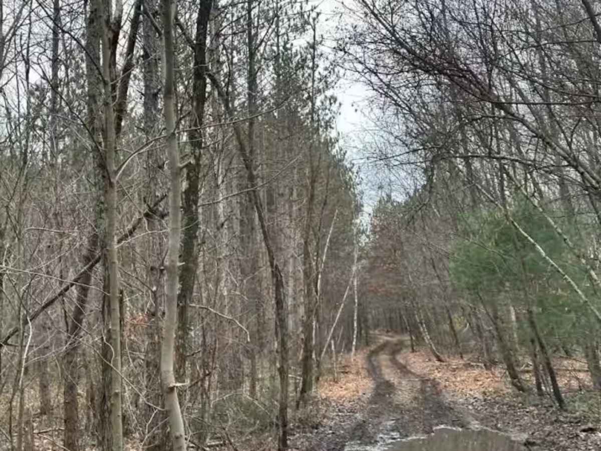 Holly Ave Outer Loop photo 4