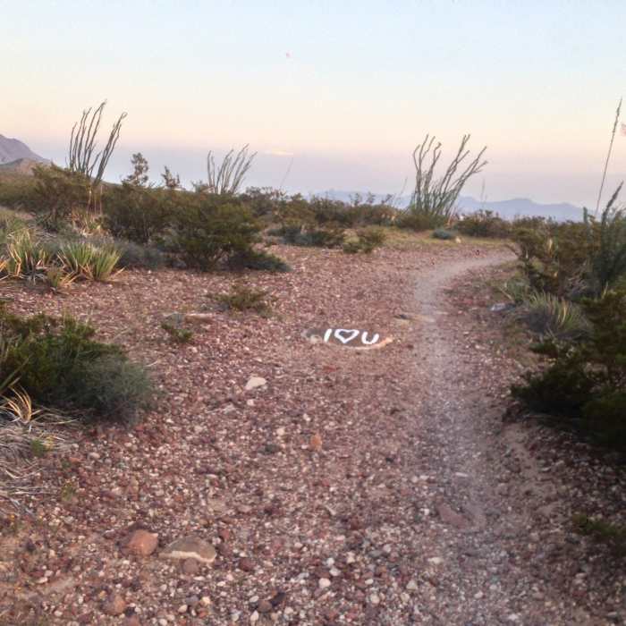 I love you too, trail. Near Worm