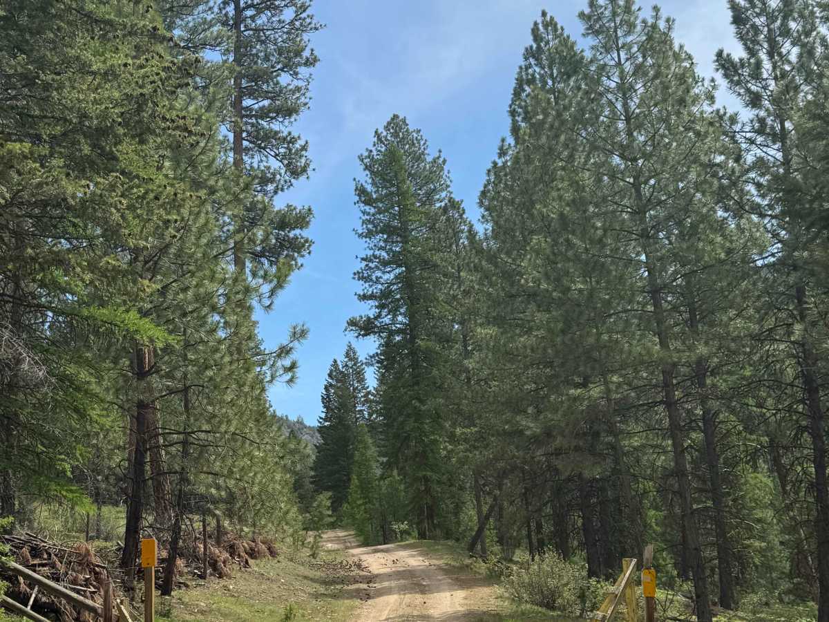 Sherman Creek Trailhead Road photo 3